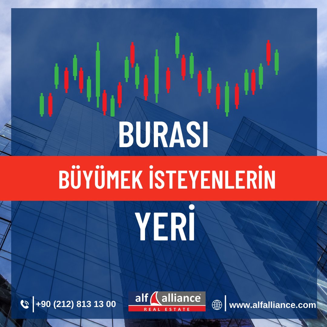Alf Alliance Türkiye tweet media