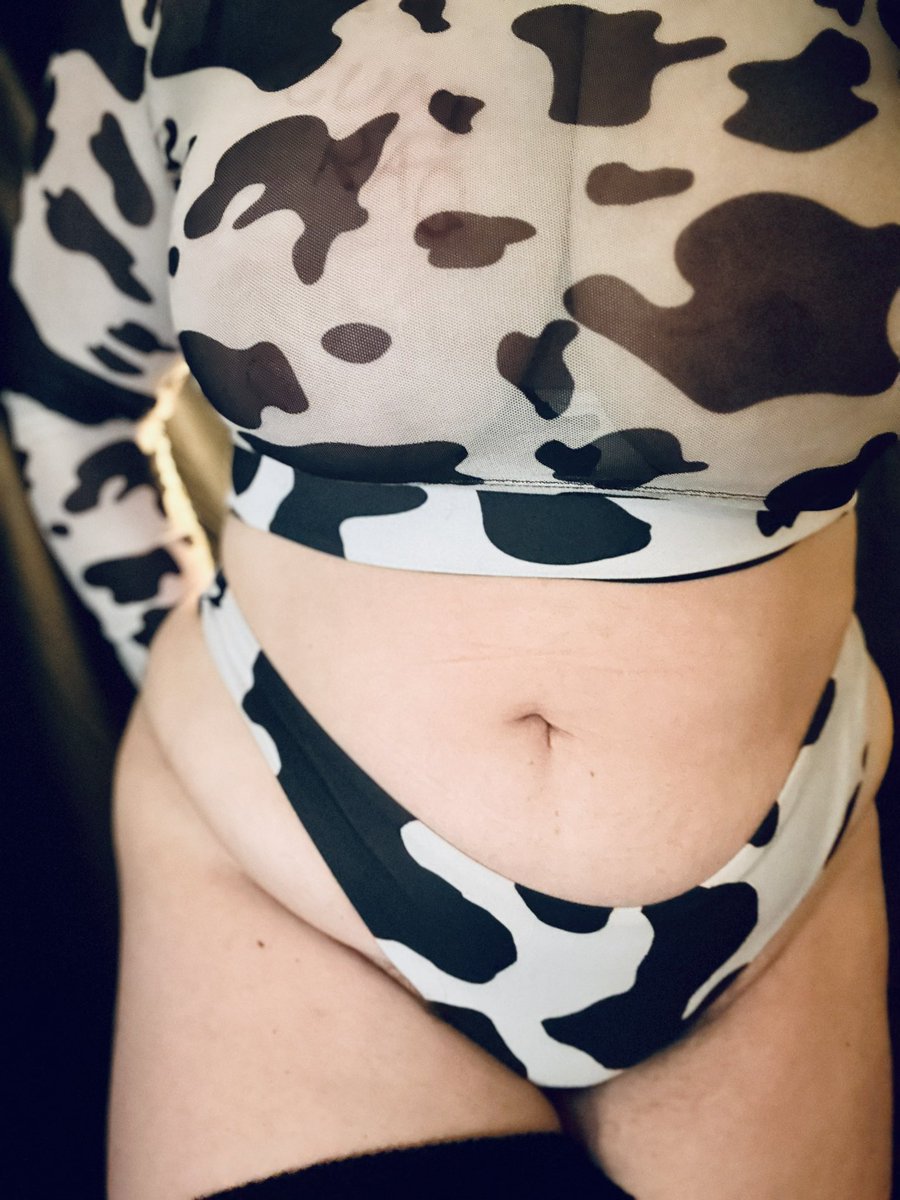 Busty Bovine Qutie tweet media