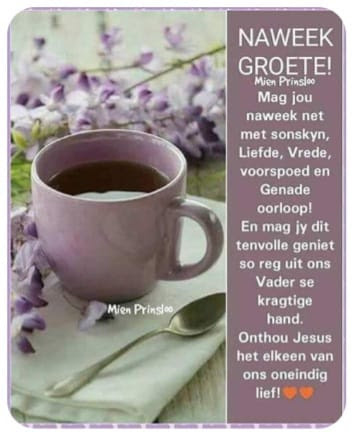 oosthuizenoosie9@gmail (@oosthuizenoosie) on Twitter photo 