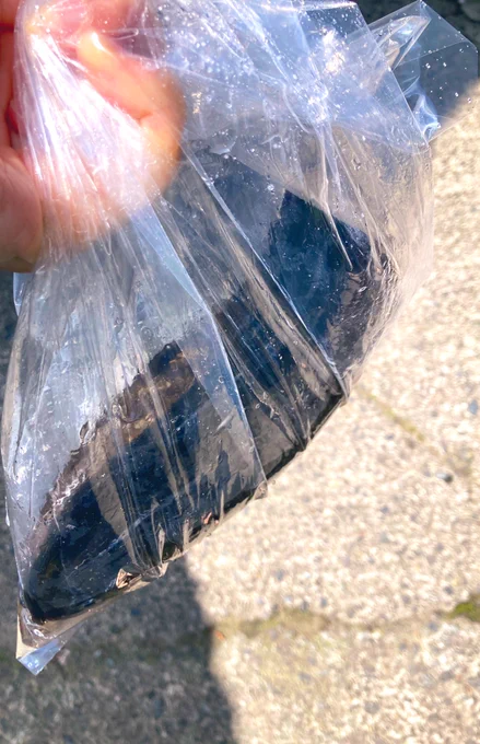 釣堀ですが  ヤマメ1 イワナ3  ヤマメはこれで最後って所で来てくれたので、白熱しましたわ