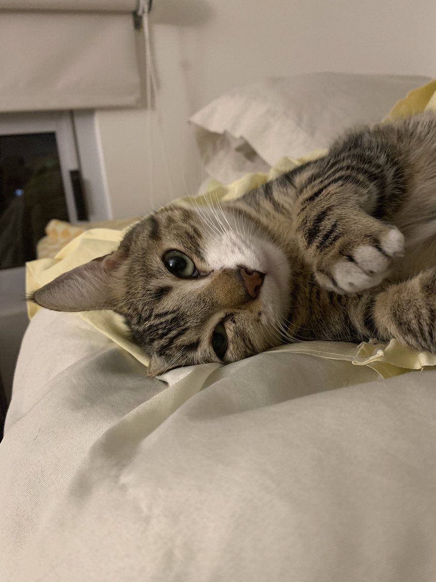 fēmilagrosss🐍 tweet media