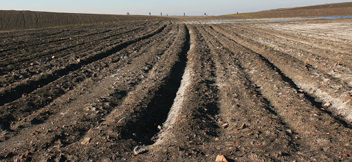 agriculturalsc9's tweet photo. #Chernozem, also called #black soil, is a black-colored soil containing a high percentage of #humus and high percentages of #phosphorus and #ammonia compounds.
#Agriculture #Crop
#technology #Review
#research #India
#China #Japan
#Pakistan #Blacksoil https://t.co/TmJSHvlOC0