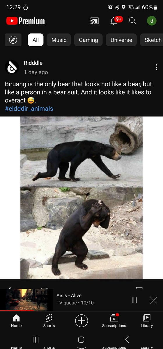 __Ryan_'s tweet photo. #manbearman https://t.co/b64i5HO9Iy