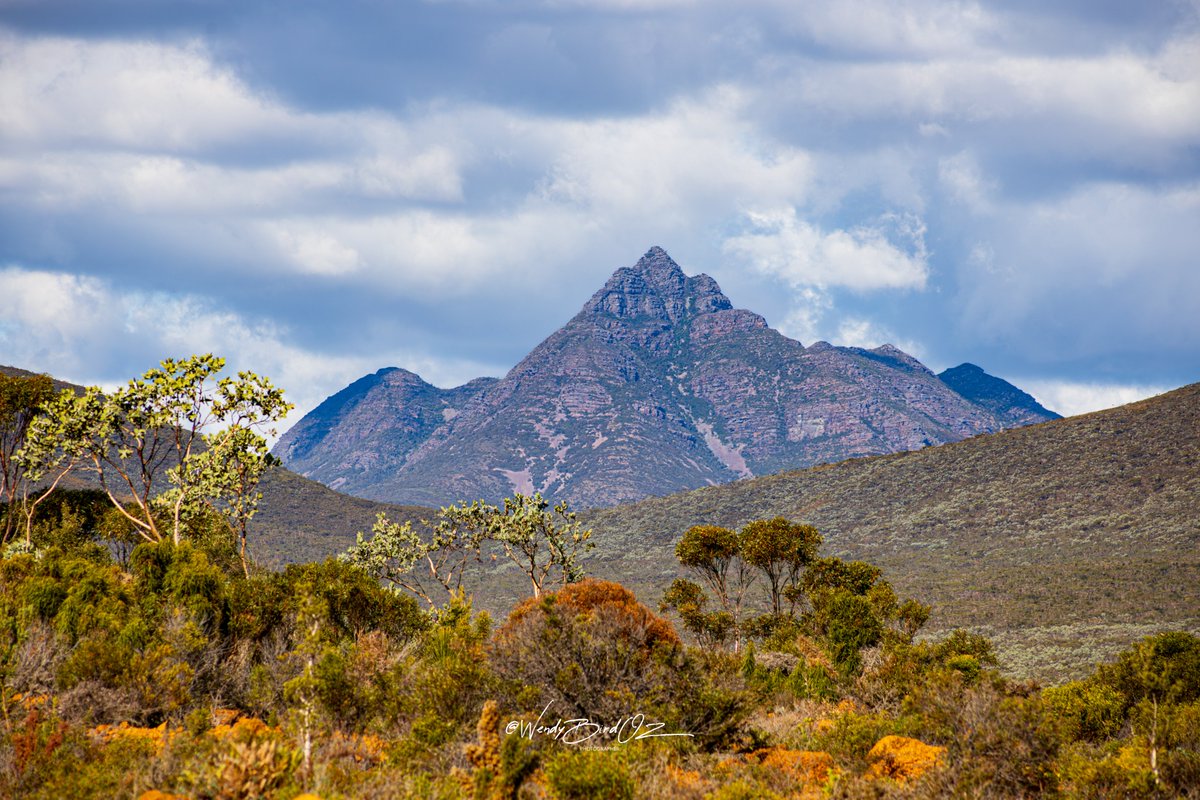 I was driving near the edge of the Stirling Range National Park. Always an impressive sight. Yeah, they're not as high as other mountains in the world, but they're still beautiful to look at. 3/4
#WesternAustralia #GreatSouthern #countrytowns #BluffKnoll #canonphotography