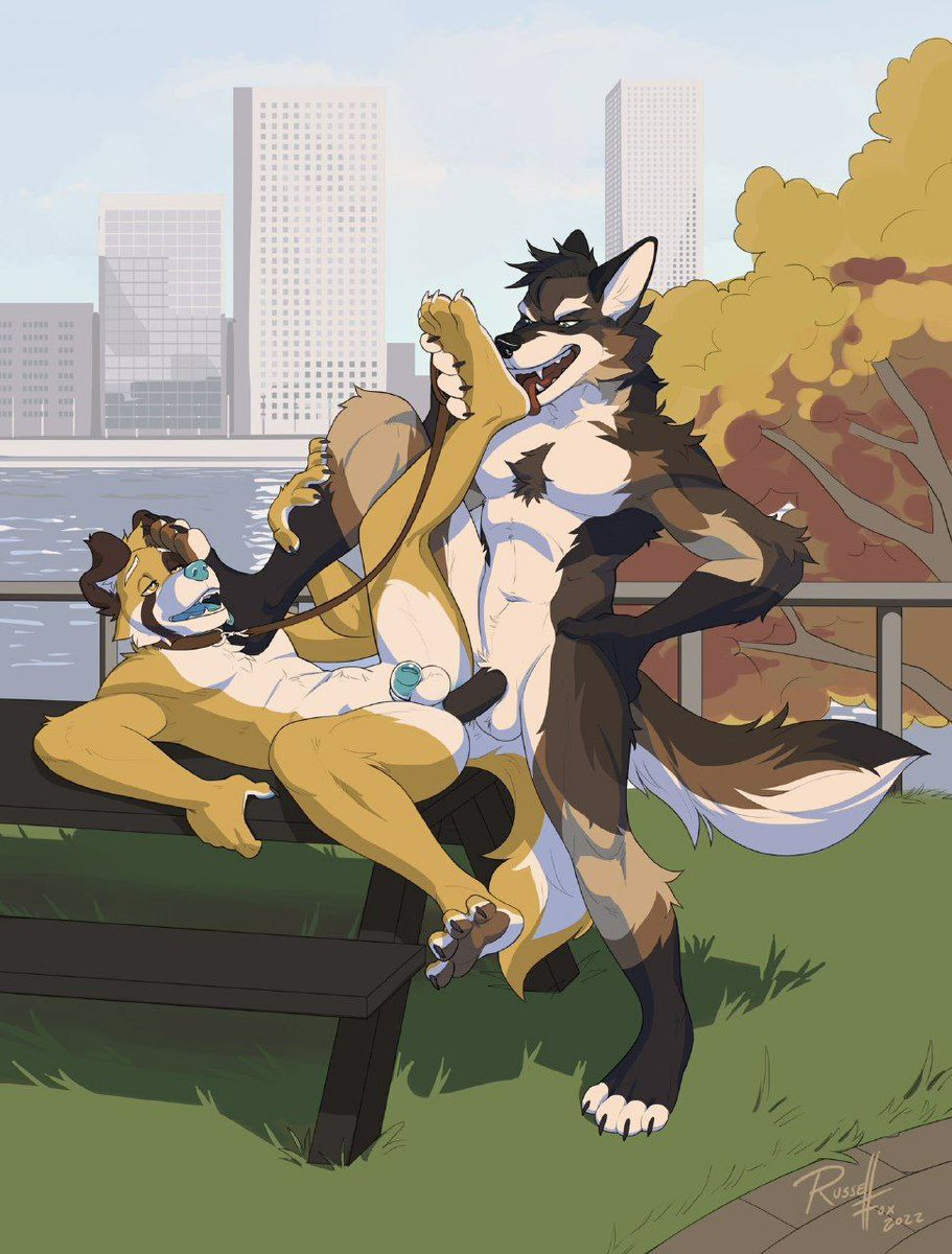 MundoYiff's tweet photo. #furry #furryfandom #gay #furries #furryart https://t.co/zjgaCp01BZ