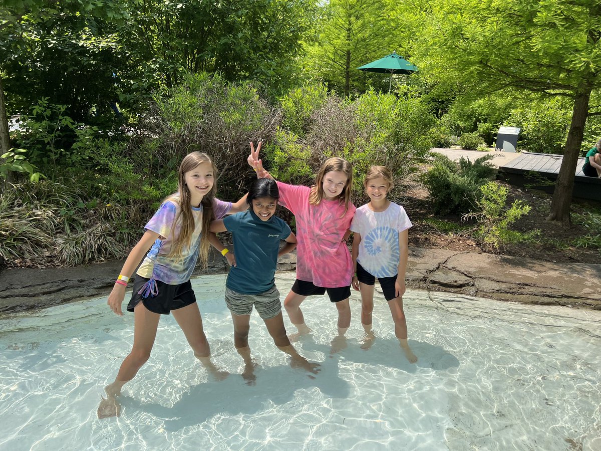 graham3rd's tweet photo. Fun at the Franklin Park Conservatory! https://t.co/HsWK5QG8Sg