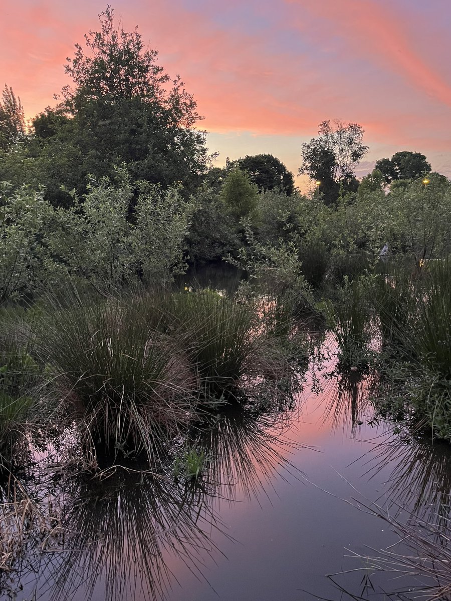 mbrence's tweet photo. Pink-streaked sky and water tonight as the sun set in #PortlandOregon. https://t.co/i3Sb2IfmFa