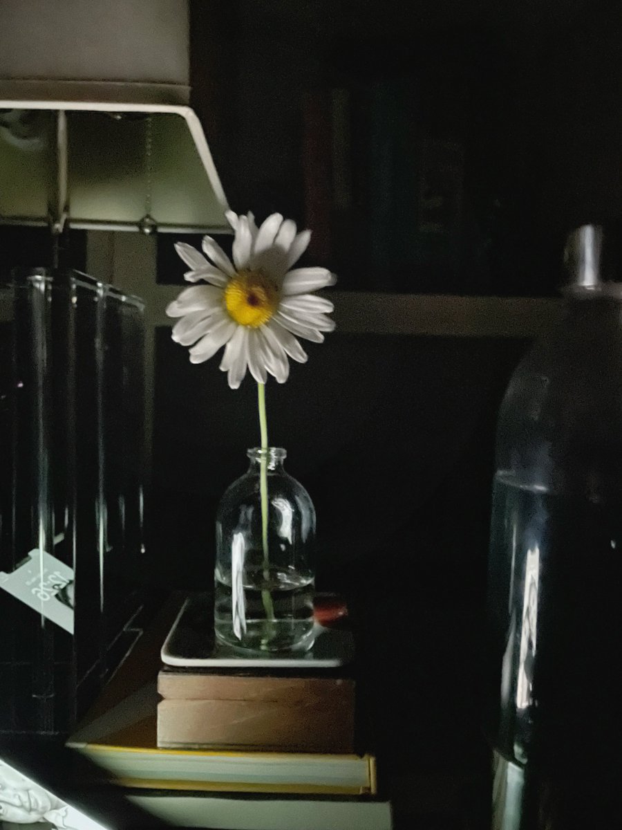 Go steal a flower and surprise someone you love tomorrow… thank me later. 

Gn 😘