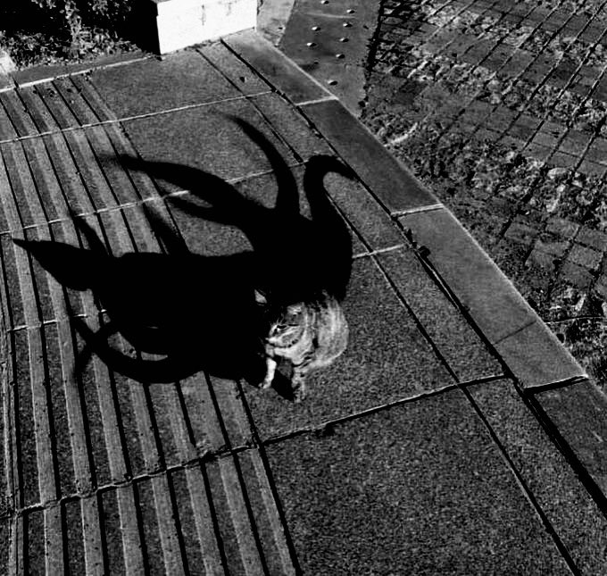 V̷̢̡̘͂̍o̵̹̽ḯ̶͈̯̏̋ḋ̵̟͓ ̶͖͈́̚ͅS̴̠̗͇͋̕ȩ̶̓͒r̶̞̠̈́v̶̗̫̙̽́̐a̸̢̞̫̓͠n̸̢̙̈͆͘t̶͇͒͊̀ ̷̙̰̘̿g̴̠͈̅o̶͇̩͖͠i̴͖͖͗̓͌ṇ̵̳̖̉͒g̵͔̊̌͠ ̵̟̽͝f̸̼̜̑͑o̷̧͎͇͛ṙ̵̗̟̓ ̵̮̔̀͜ͅa̷̳͛̒͠ ̸̱͈̅w̷̟̱̅a̴͖͒̐͝l̷̨̜͍̉k̸̛̰̱̱̽î̵̛̬͙̰̀e̸̦̿͌

sent by: @CaioTheFishman 🐟🐠🐡