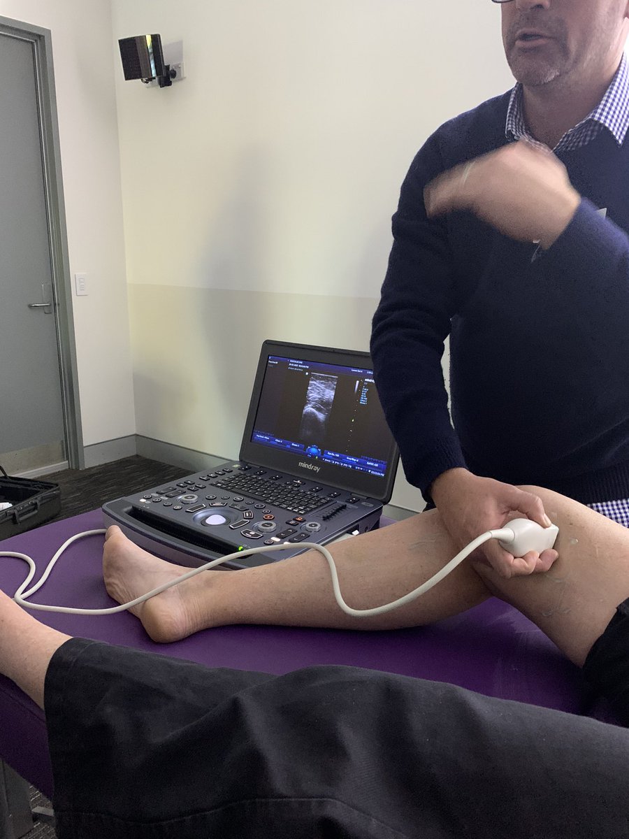 Dr Peta Tehan tweet media