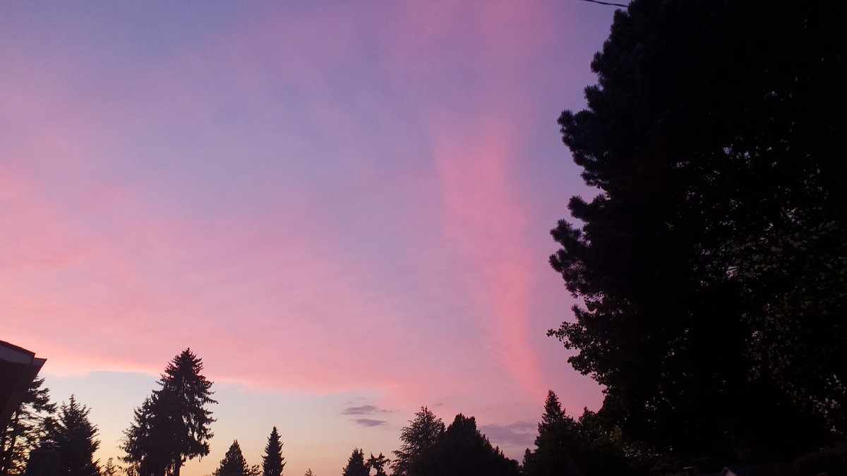 BeckyAwsum's tweet photo. Beautiful sunset in Tigard, Oregon https://t.co/L5hNhX7EfD