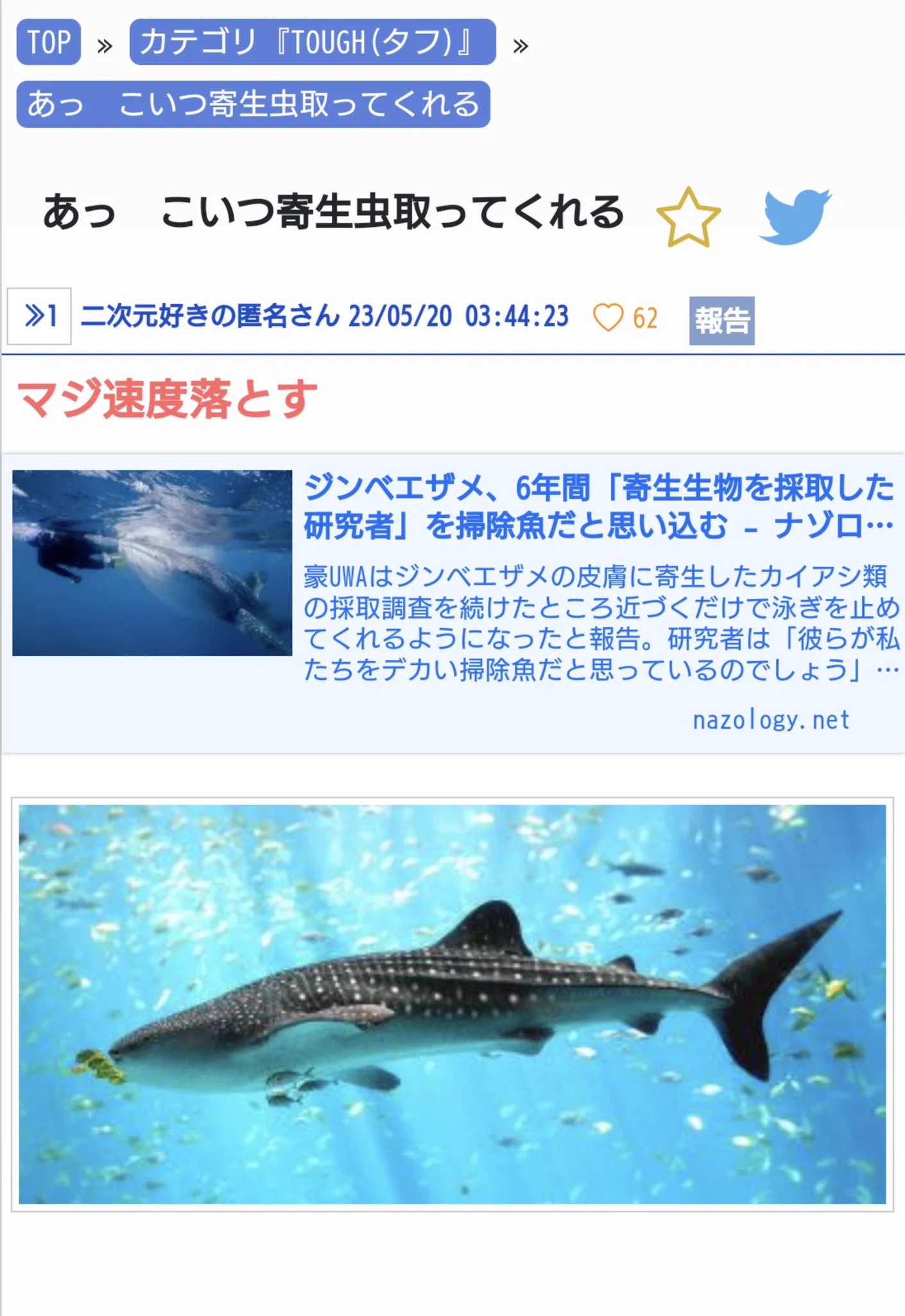 タフカテにもジンベエザメスレが立ってましたが、異様に語録改変ネタにキレがあった
俺も嬉しいぜ！  