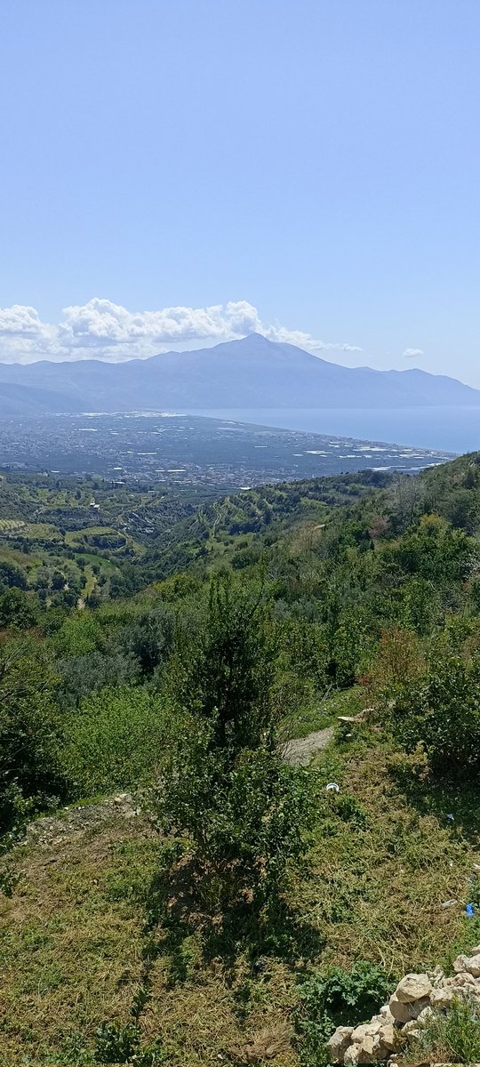 Sveydiye