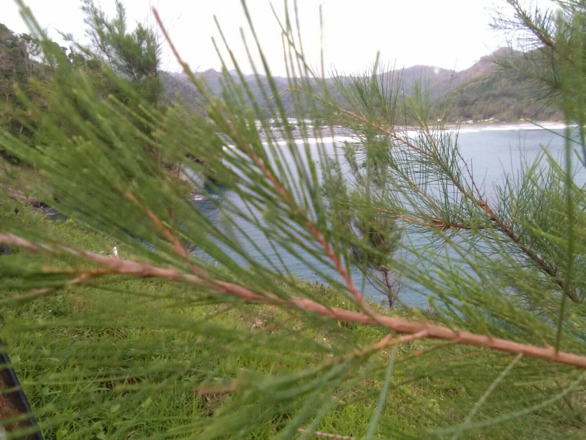 RiskaAzkia's tweet image. serenade of weather