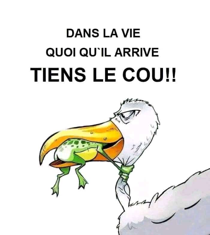 JonathanEthanL1's tweet photo. Samedi  Follow,je Follow back🥰
Dépose ton @ @JonathanEthanL1
🇨🇩10k
🇨🇬🇨🇲20k
🇨🇮🇳🇬🇬🇳30k
🇨🇦🇩🇪🇫🇷🇧🇪40k
🇸🇳🇬🇭🇨🇳🇮🇹🇵🇹50k
🏴󠁧󠁢󠁳󠁣󠁴󠁿🏴󠁧󠁢󠁷󠁬󠁳󠁿🇹🇿🇺🇦🇹🇷🇿🇦60k
🇺🇸🇿🇲🇿🇼🏴󠁧󠁢󠁥󠁮󠁧󠁿🇾🇪🇹🇳🇸🇳70k
🇸🇪🇸🇭🇷🇴🇳🇱🇳🇴🇬🇼🇯🇵🇮🇱80k
🇫🇮🇬🇧🇨🇿🇦🇷🇦🇴🇧🇫🇧🇦🇺🇬🇻🇳90k
Dépose ton @ @JonathanEthanL1
Retweet et Commente. On se donne la force 💪💯 https://t.co/mPKrdZVivQ
