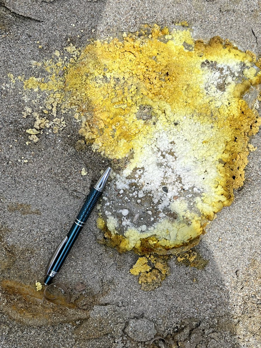 Erin Thompson tweet media