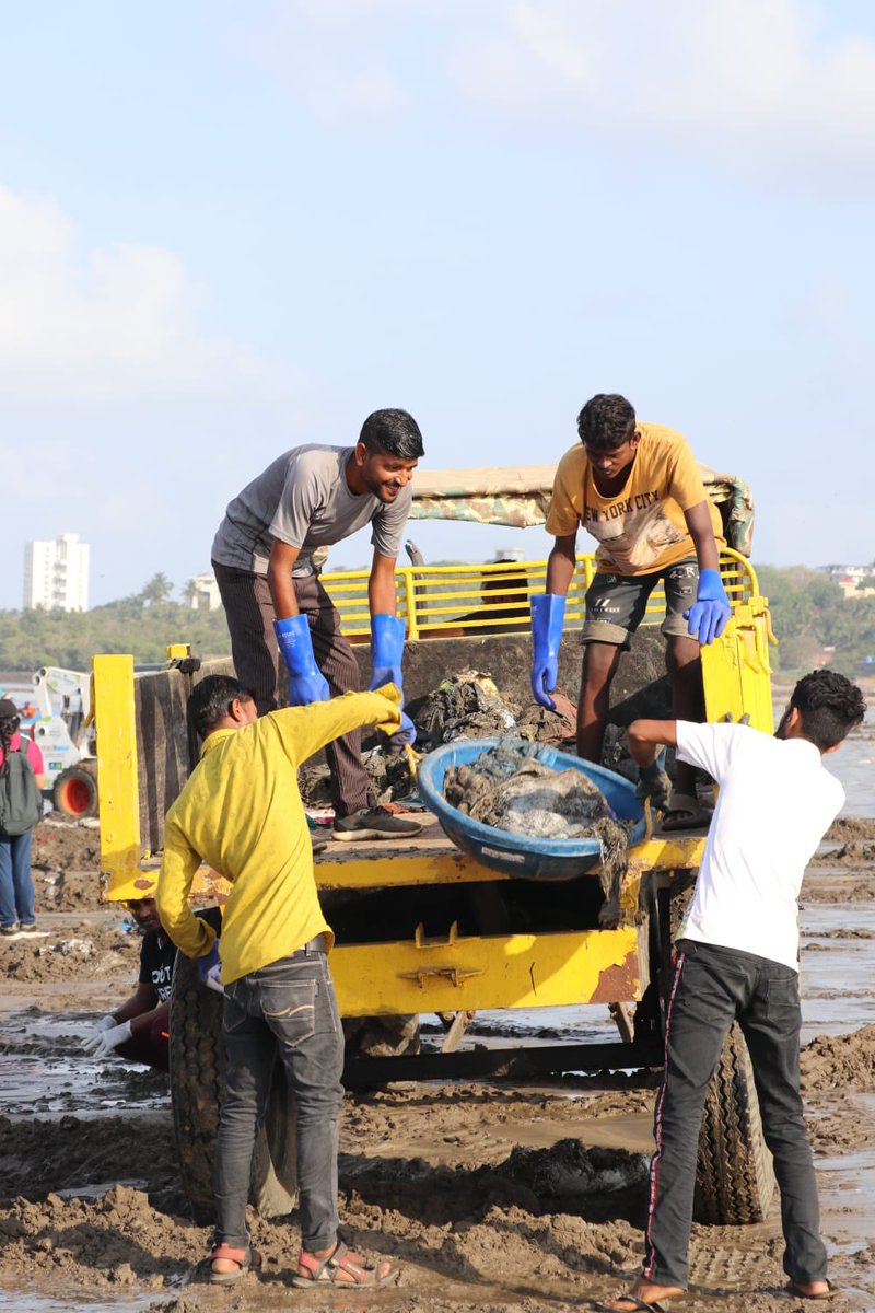 AfrozShah1's tweet photo. Week 426.

Beach cleaning is :

1. Protecting the marine species from    plastic pollution killing them.

2. Plastic not going in to deep ocean - and fattening the ocean gyres.

3. Clean and learn.Reduce single use plastic at home and garbage.

4.Then a clean beach. 

Our bit. https://t.co/EM9u9dbVgZ