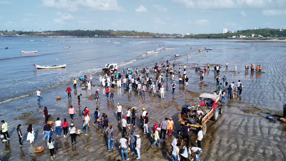 AfrozShah1's tweet photo. Week 426.

Beach cleaning is :

1. Protecting the marine species from    plastic pollution killing them.

2. Plastic not going in to deep ocean - and fattening the ocean gyres.

3. Clean and learn.Reduce single use plastic at home and garbage.

4.Then a clean beach. 

Our bit. https://t.co/EM9u9dbVgZ