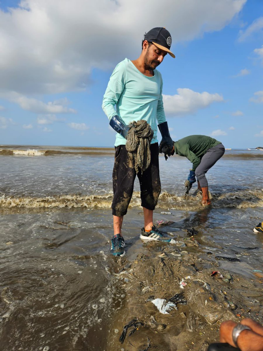 AfrozShah1's tweet photo. Week 426.

Beach cleaning is :

1. Protecting the marine species from    plastic pollution killing them.

2. Plastic not going in to deep ocean - and fattening the ocean gyres.

3. Clean and learn.Reduce single use plastic at home and garbage.

4.Then a clean beach. 

Our bit. https://t.co/EM9u9dbVgZ