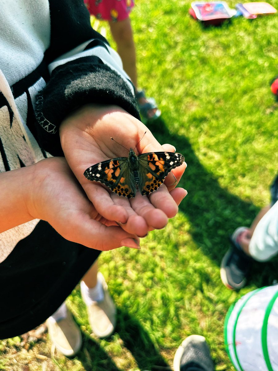 Practicum 2 - Blackburn Elementary K/1! I am absolutely loving my time at this wonderful school. Today was butterfly release day and it will be a core memory forever. ❤️🦋 Happy long weekend, everyone!