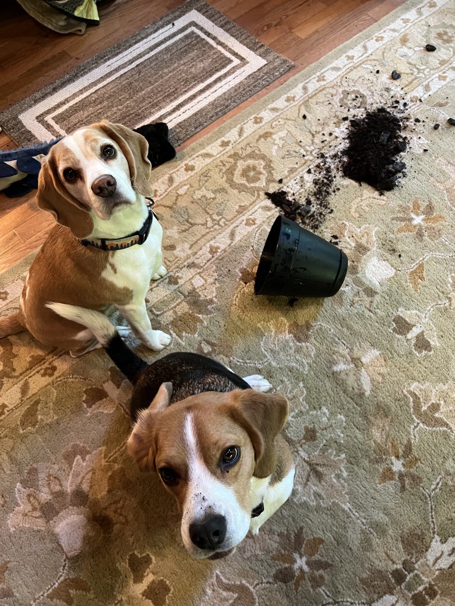 We’re not in the wrong. You’re in the wrong!