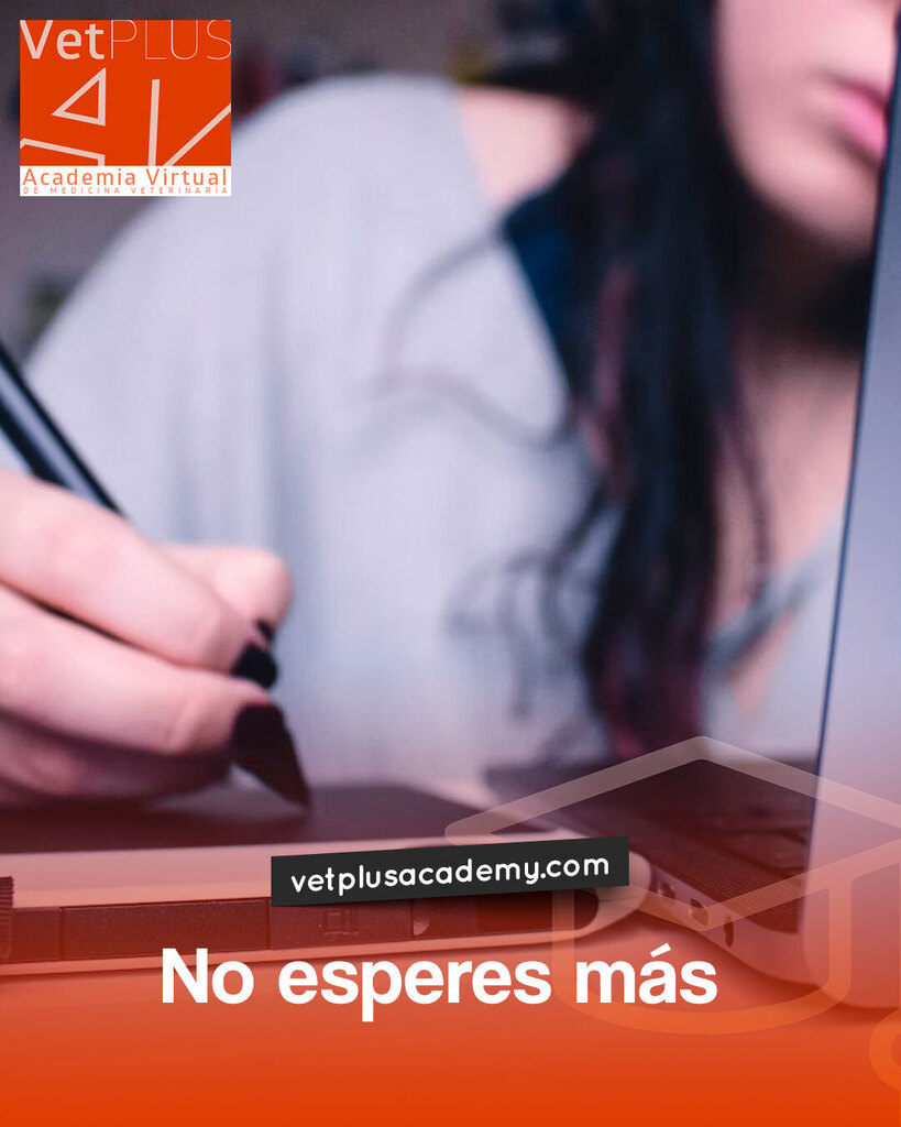 vetplusacademy's tweet photo. Y comienza a recorrer el camino para un mejor destino profesional.

Seguimos conectados ofreciendo oportunidades para CRECER.

Ingresa en: https://t.co/trn5iAWghp. 

#educación #capacitación #diploma #elearning #médicoveterinario #MedicinaVeterinaria … https://t.co/4O79xXW3DB https://t.co/Jk11FAmPLX