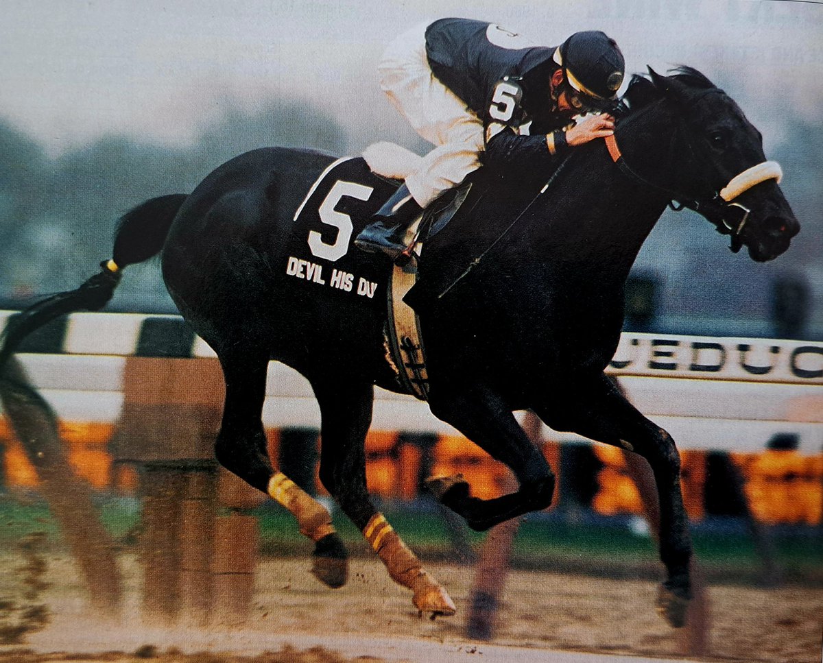 HORSERACING1002's tweet photo. DEVIL HIS DUE🇺🇸 1989
(DEVIL'S BAG-PLENTY O'TOOLE BY RAISE A CUP)
#DevilHisDue https://t.co/Xl5P2cP2wq
