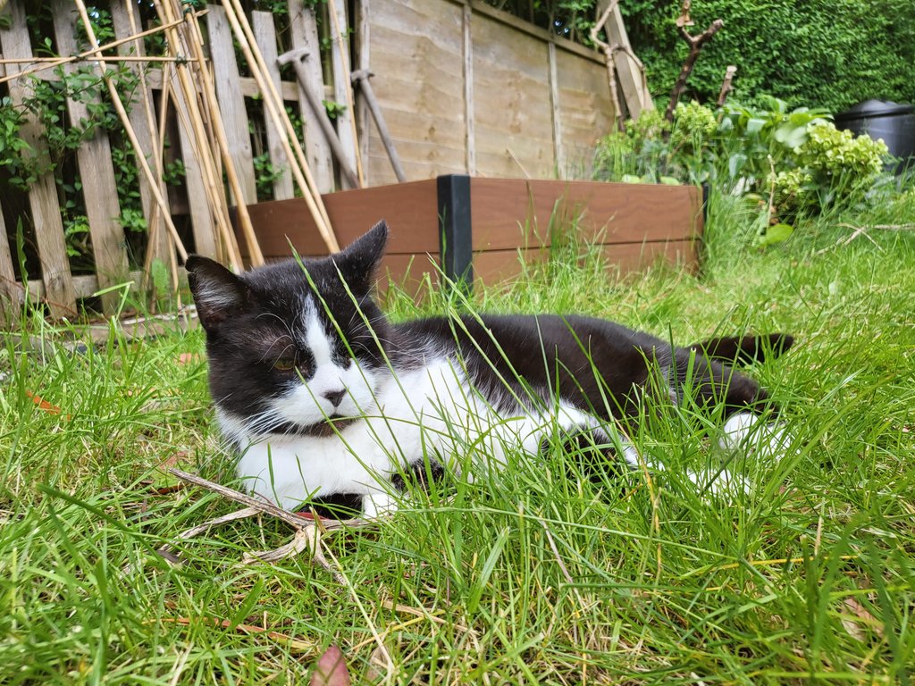 i claim this land