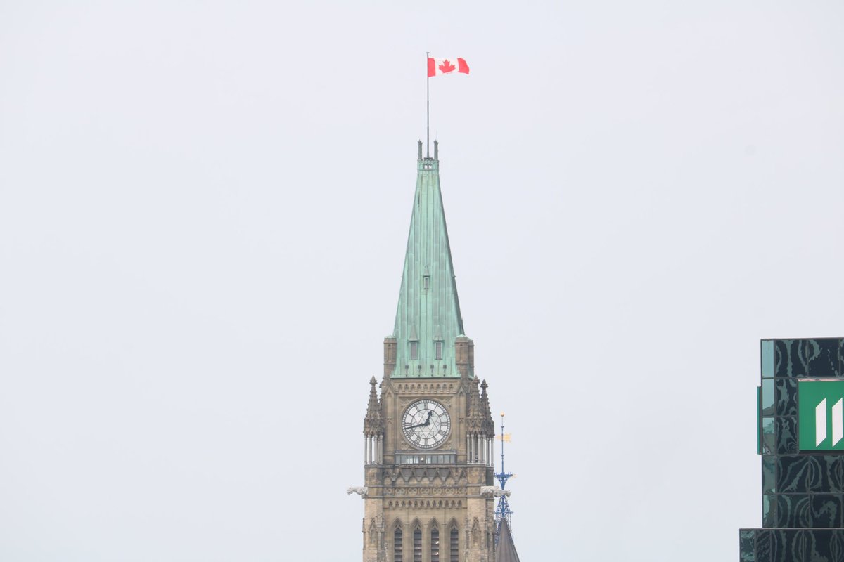 Paddy Wadden tweet media