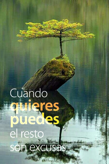 Ayuda_Psic's tweet photo. Cuando quieres puedes, el resto es excusa. #frases #pic https://t.co/96pwVouZ5m