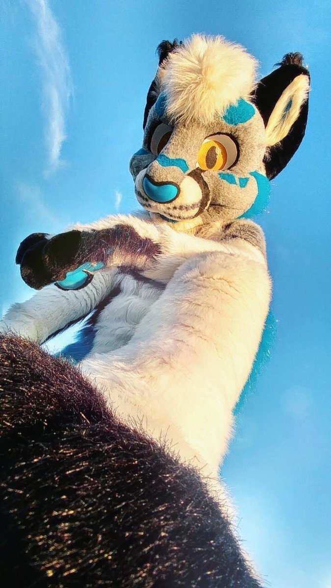 Twilight_Saint's tweet photo. STEP UP to the plate, &amp; stand up for yourself!💪💙

#furry #furries #fursuit #fursuits @SabotageLynx https://t.co/K1i9OXqEJZ