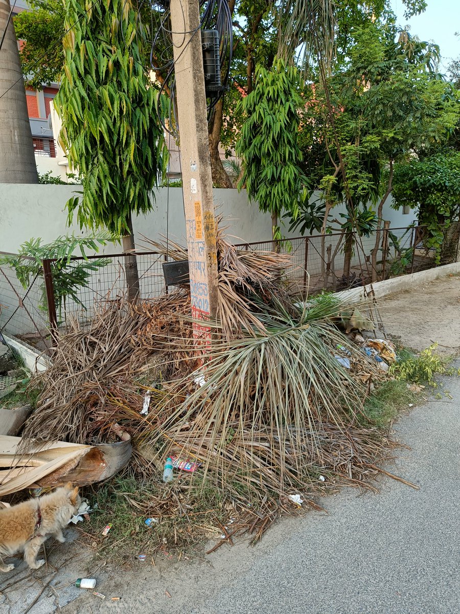 <a href="/AMRUTCityGzb/">Ghaziabad Nagar Nigam</a> <a href="/ghaziabad_union/">Ghaziabad Union</a> <a href="/ghaziabad_union/">Ghaziabad Union</a> #Swatchbharat <a href="/ghaziabad/">ghaziabad</a>  Garbage dump lying outside SB100, Shastri Nagar for over 6 weeks &amp; increasing. Who will take care or still busy in Elections. Whole area full of Garbage. No system to lift. Better devise a system.