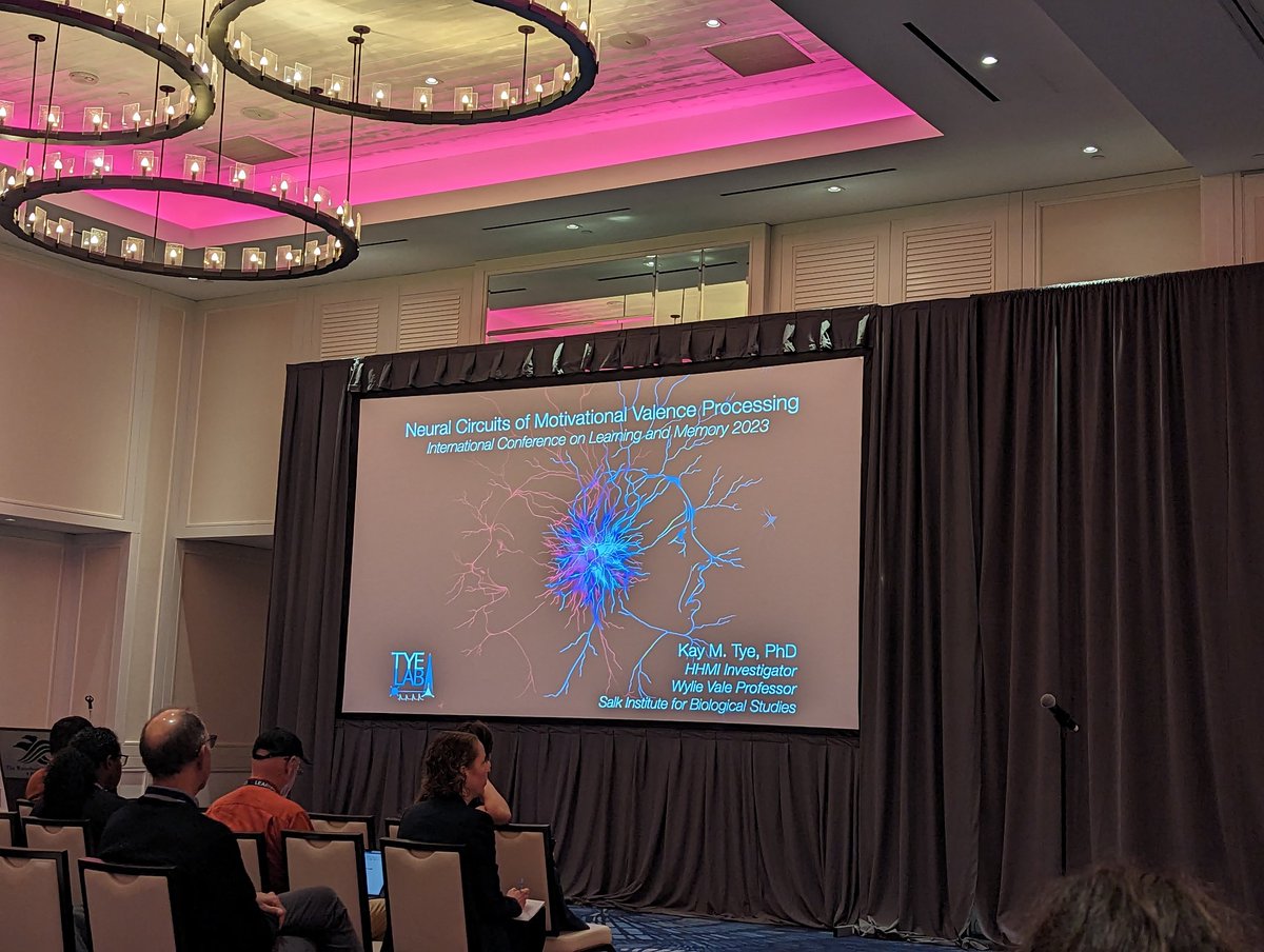 lidietteangeles's tweet photo. As one approaches the end of a Ph.D. everything gets so chaotic &amp; busy, that it's easy to forget to celebrate one's progress. Taking a moment to celebrate that in April, I was awarded a  #BrightFocusFoundation Diversity Travel Award to attend #LEARNMEM2023. https://t.co/GAQaDgtFxP