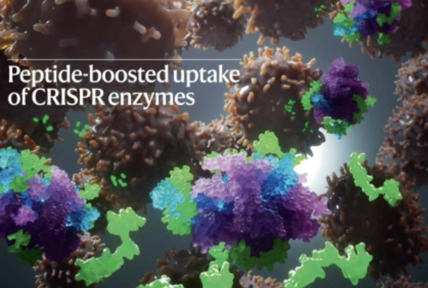 Andrea Schmidts tweet media