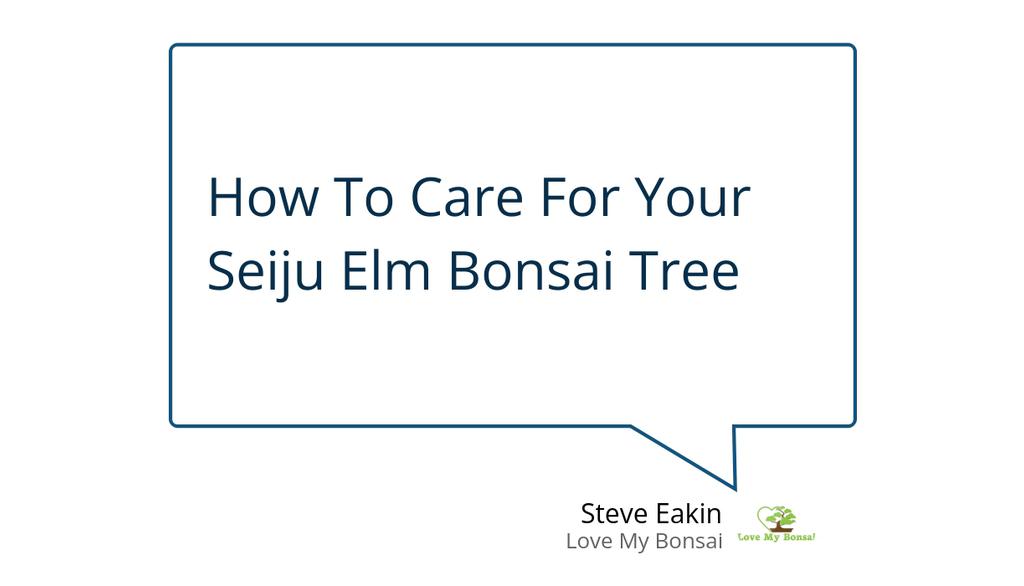 lovemybonsai's tweet image. A regular trim will help keep your Seiju Elm bonsai tree short, while helping the trunk grow thicker.

Read more 👉 lttr.ai/AB5I2

#AdaptableBonsaiTree #GreatTree #BonsaiExperts #SeijuElm #EastAsi #IndoorBonsaiTrees #JapaneseMapleBonsaiTrees #BonsaiTrees #Bonsai