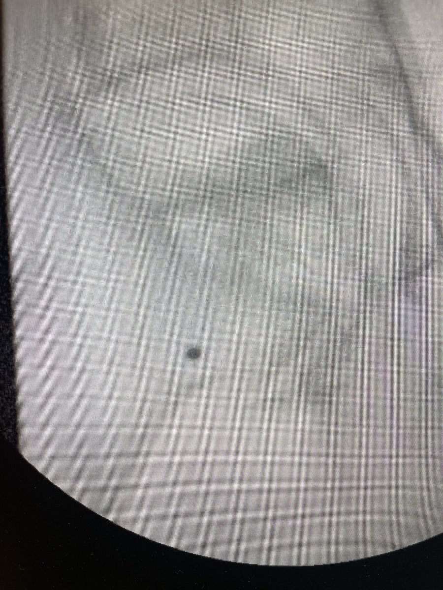 Raj Khalsa, MD, MBA tweet media