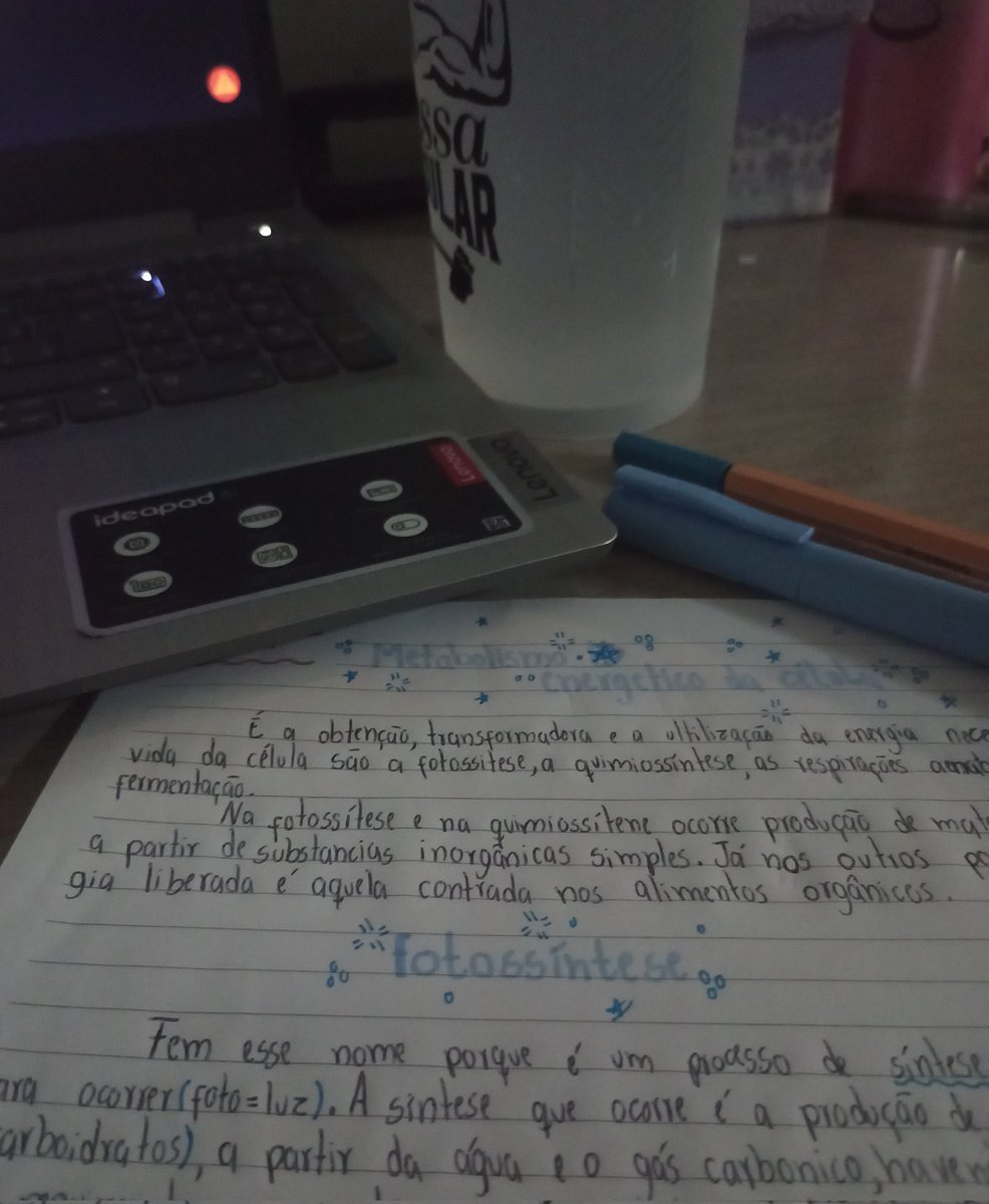 swee1study's tweet image. 🌱Study vlog | 19.05.23

Tô feliz que estudei 4 horas, tinha um tempo que estudava tanto 😁