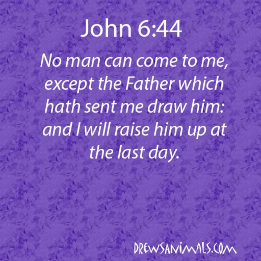 drewsanimals's tweet photo. Evening Verses https://t.co/AyhmpOhIFC