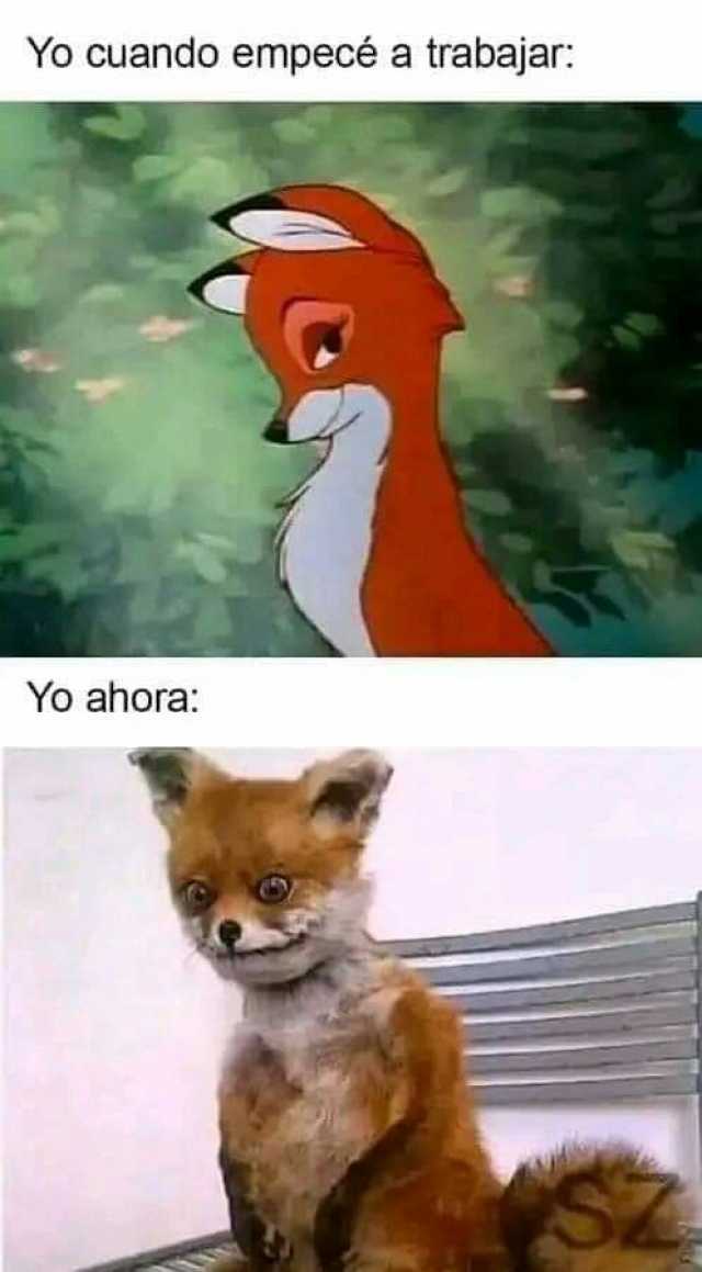 Yo cuando empecé a trabajar Yo ahora #Trabajar #Ahora #MemesGraciosos #memes #memesespañol #momos #momazos #dopl3r