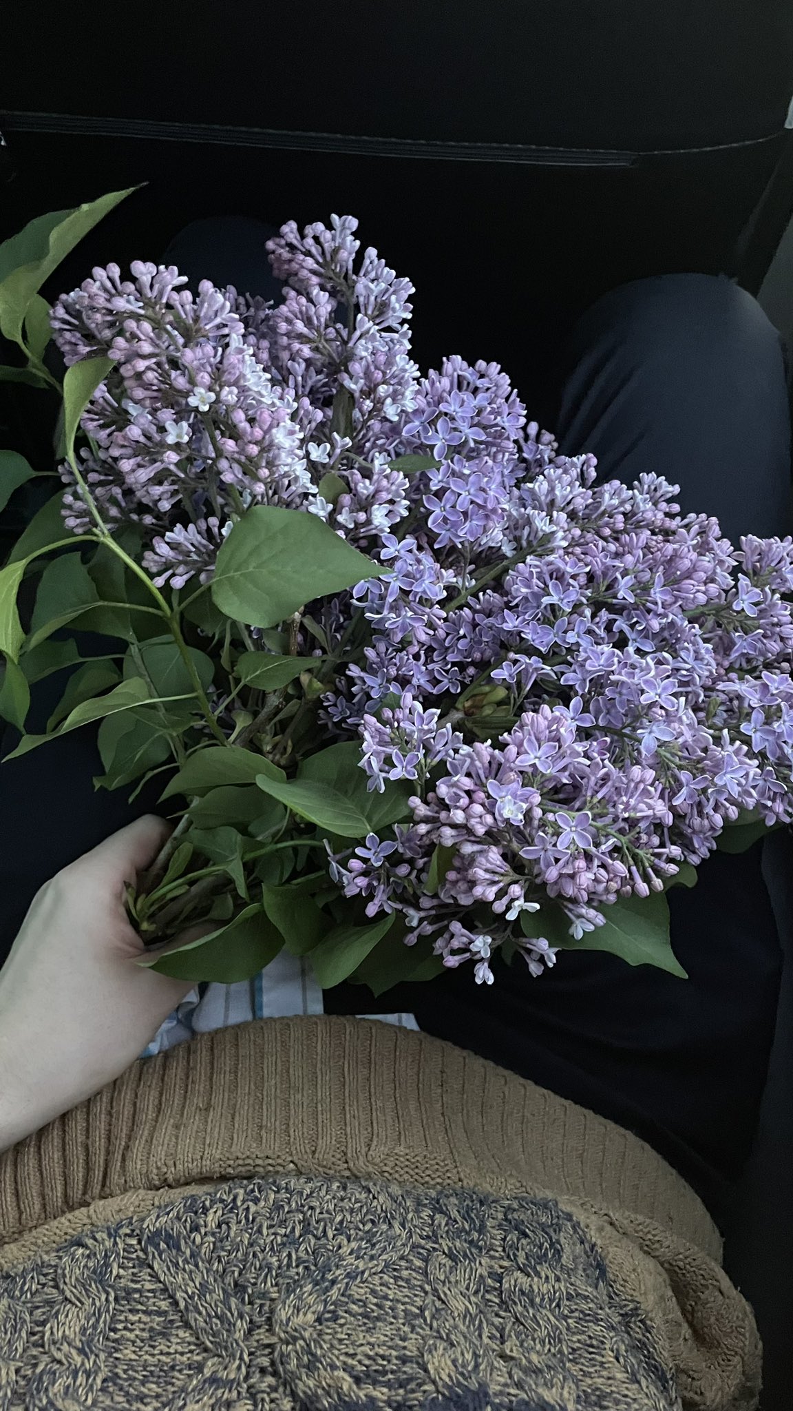 Ободрал сирень и радуюсь?? https://t.co/LkJYTJpKbW
