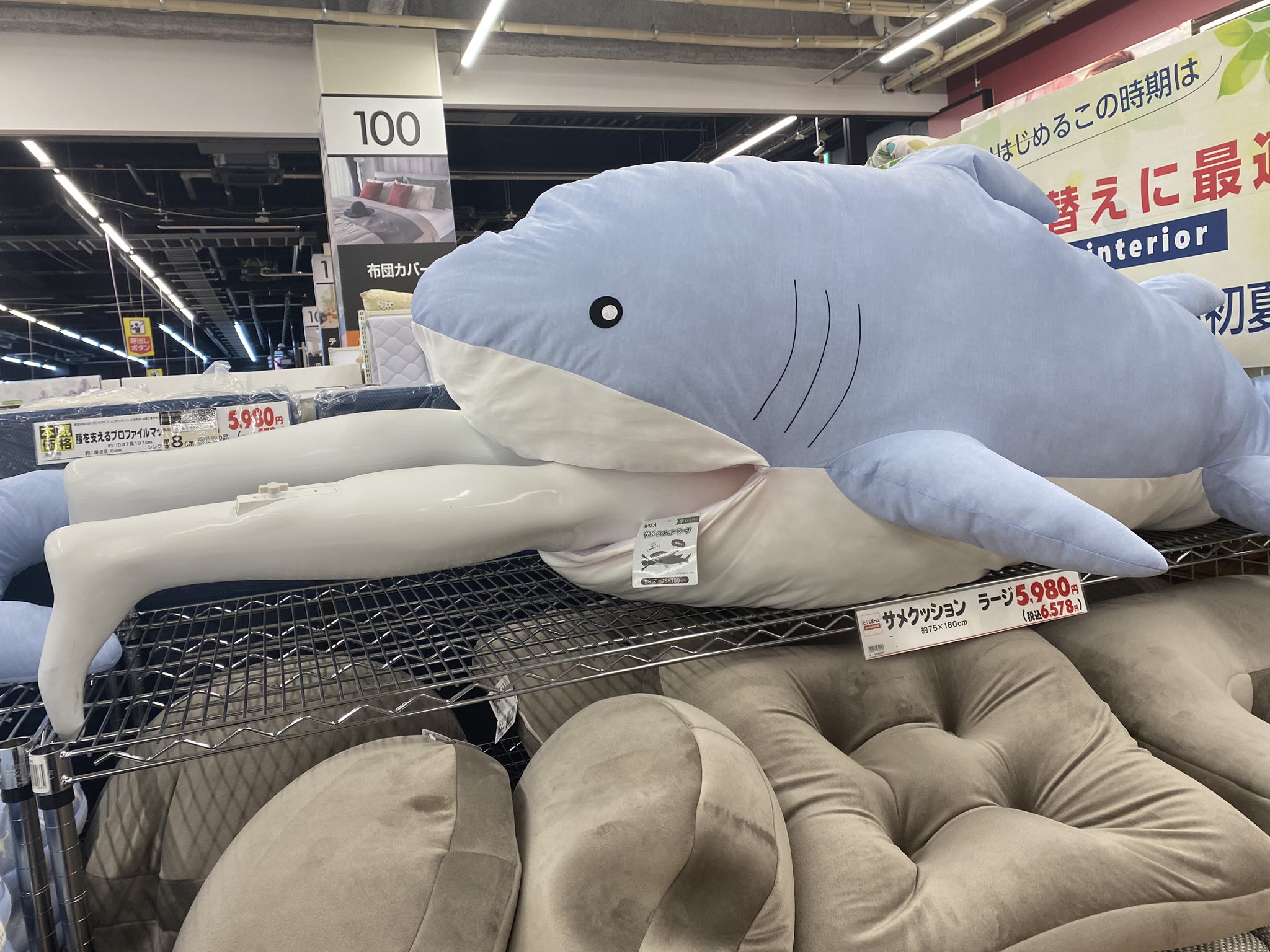 からだごとひんやり サメクッション ラージ ビバホーム WIZ'A ウィザ