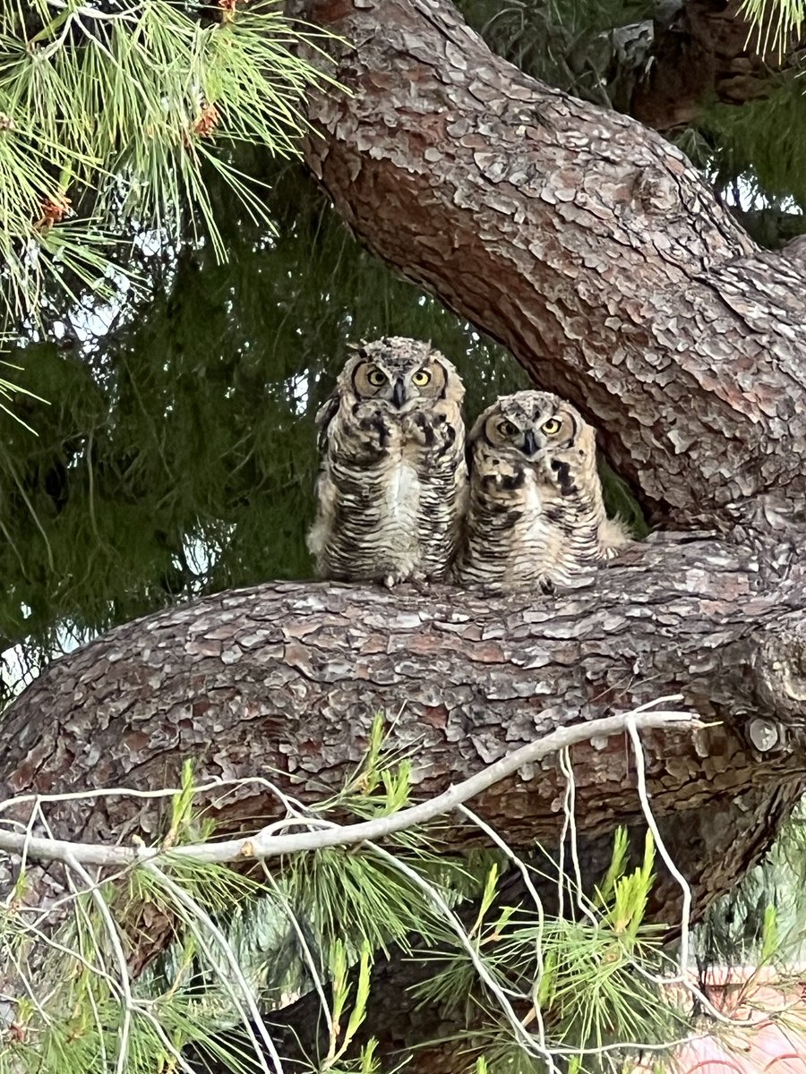 David Parker tweet media