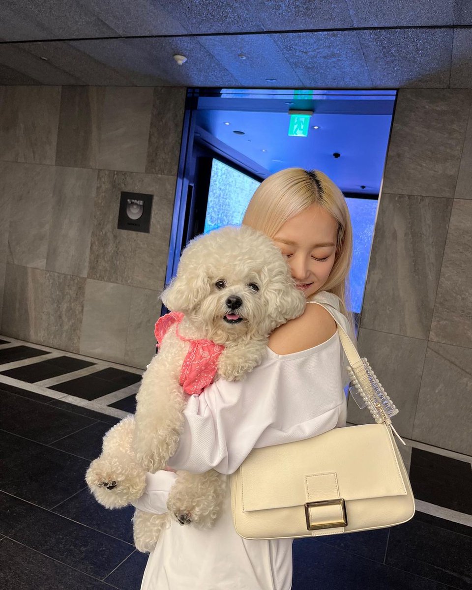 yyeunt's tweet photo. cutie doggo 🐶💜 https://t.co/IHzyuq9NVo
