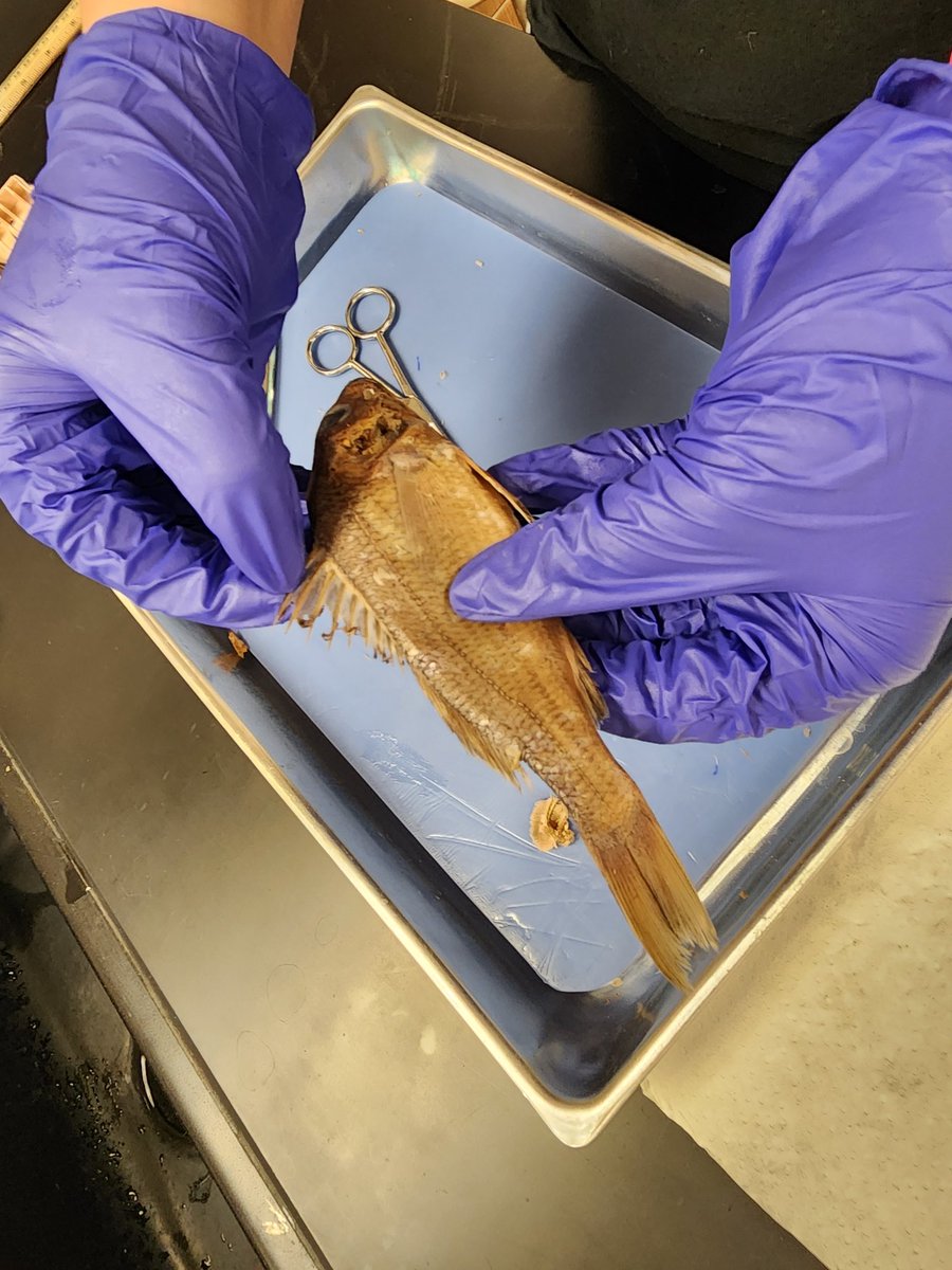 FortCalhounSci's tweet photo. https://t.co/7Huyf7JO8O