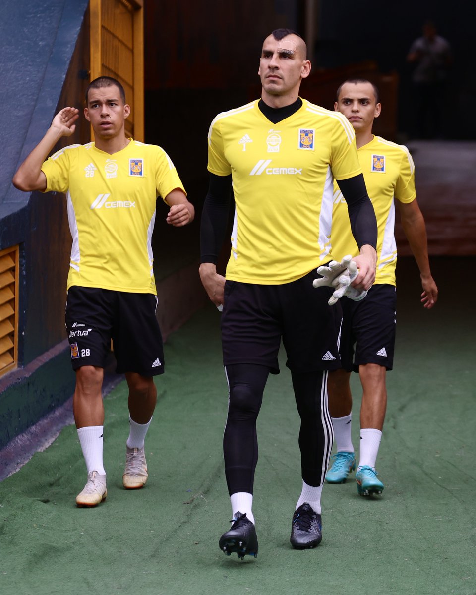 TigresOficial's tweet photo. 🔛 ¡Último entreno de cara al Clásico Regio 131! ¡Vamos la banda! 💪🏼🐯 https://t.co/DwpqI4uh1e