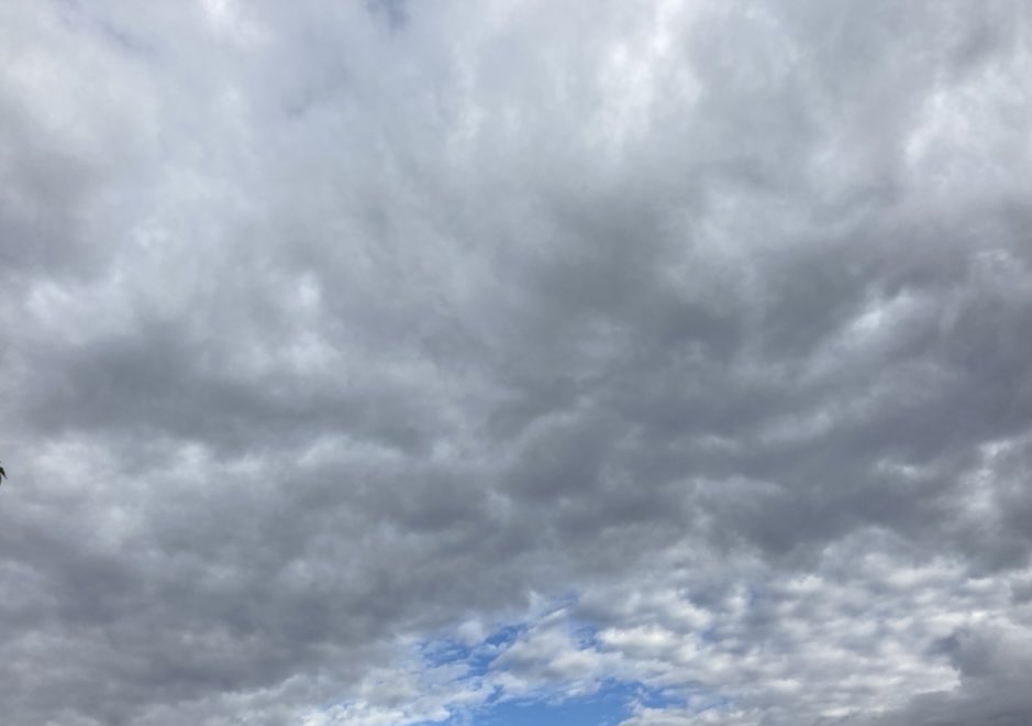 Kayla Storytella tweet media