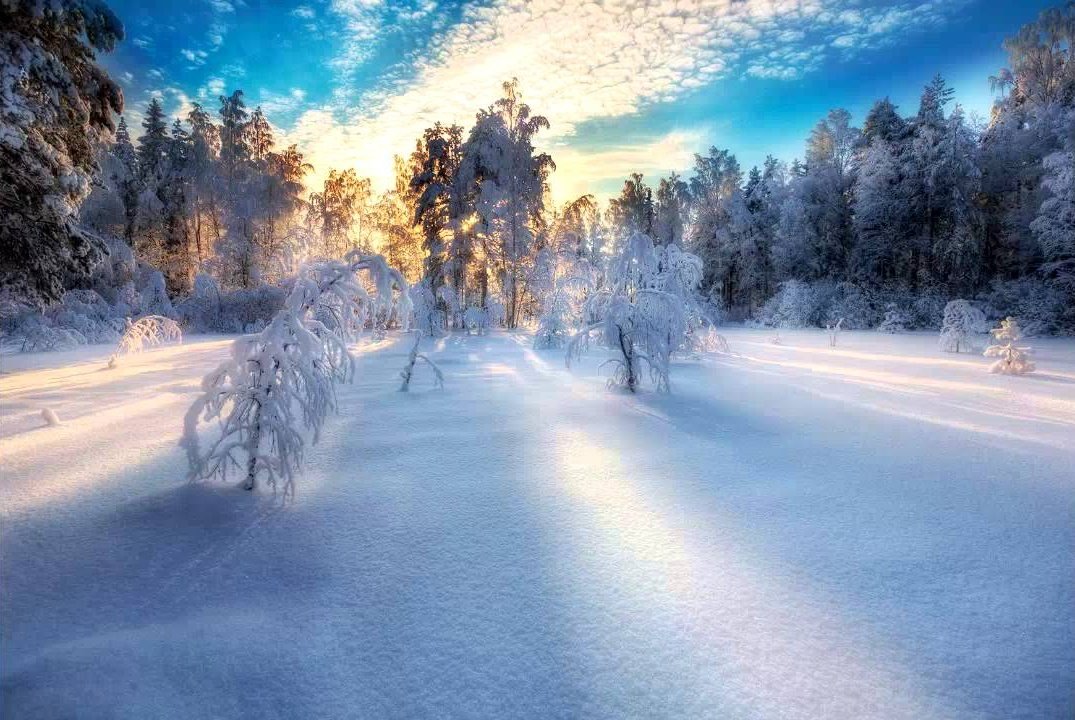 Lost within tweet media