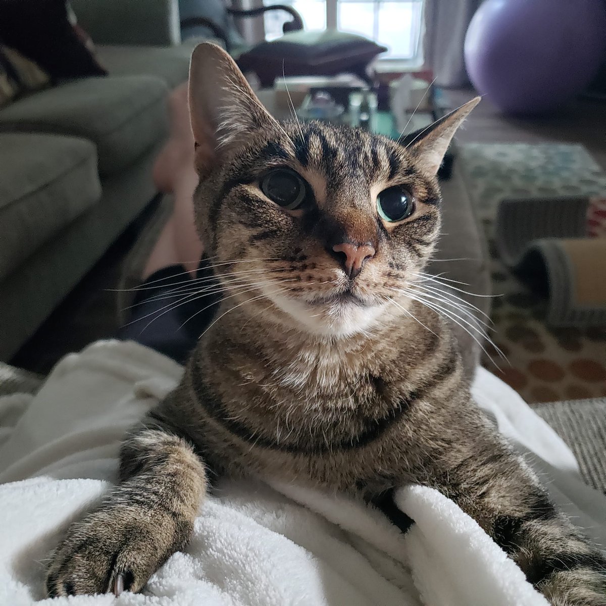 Georgianne Vinicombe tweet media