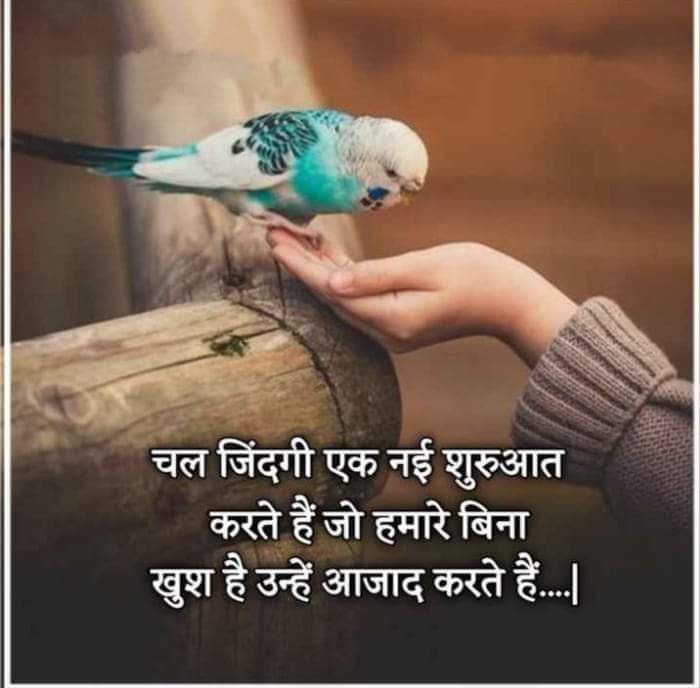 Madhusudan Singh🇮🇳 tweet media