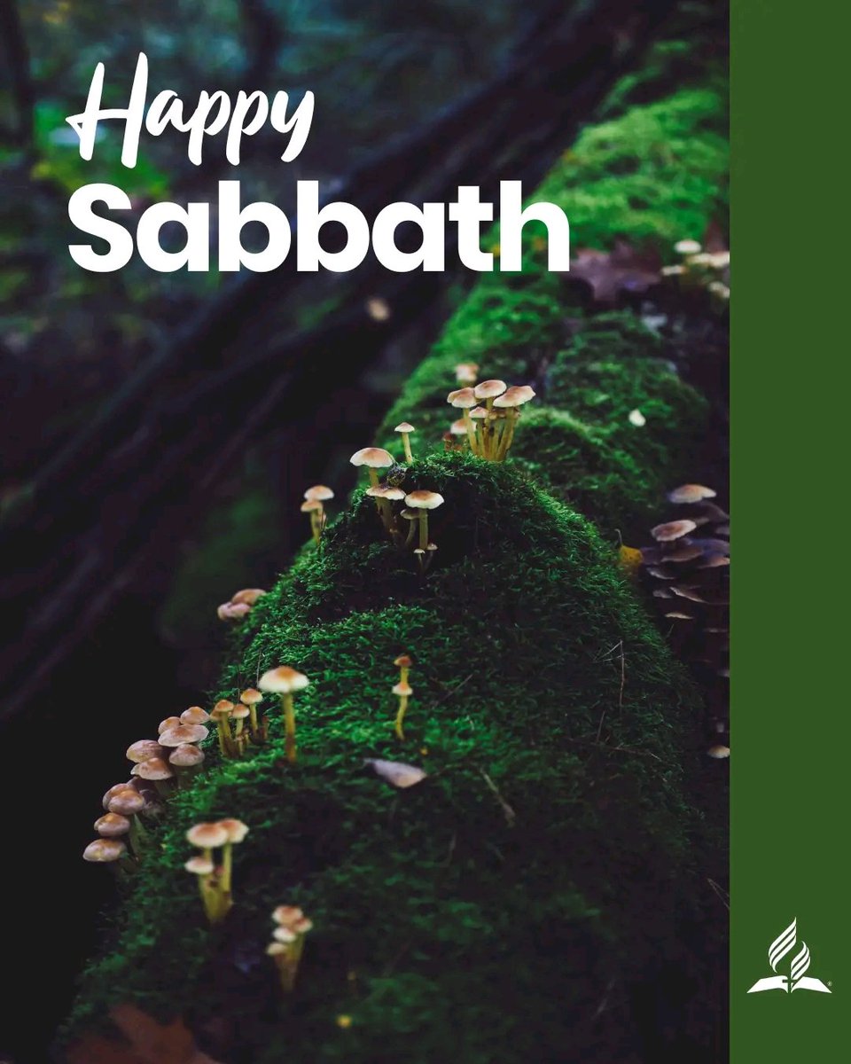 OnlineAdventist's tweet photo. Happy Sabbath https://t.co/PDXwD7Tnjx
